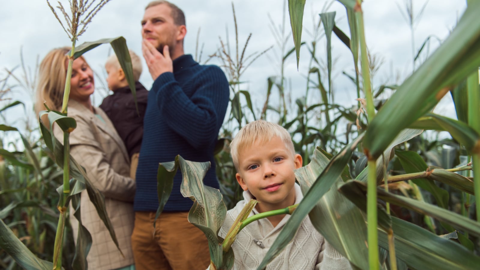 family in corn maze