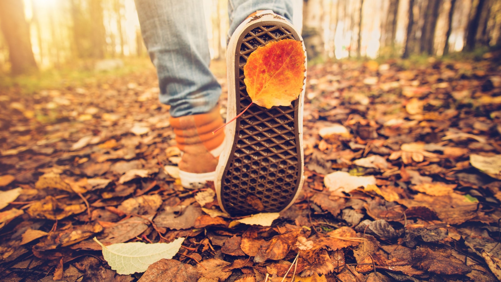 walking in fall leaves