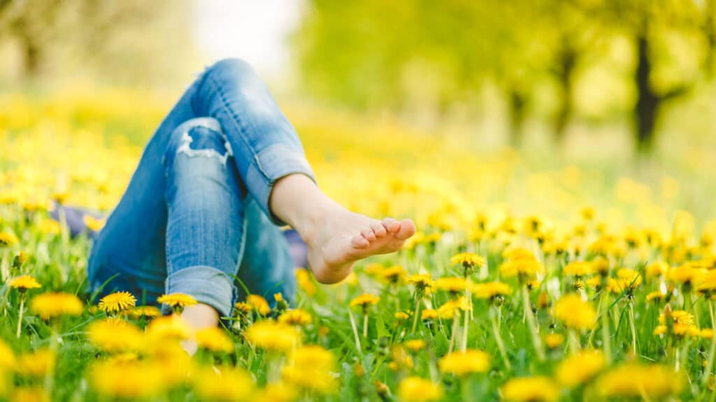 laying barefoot in the grass dandelions field