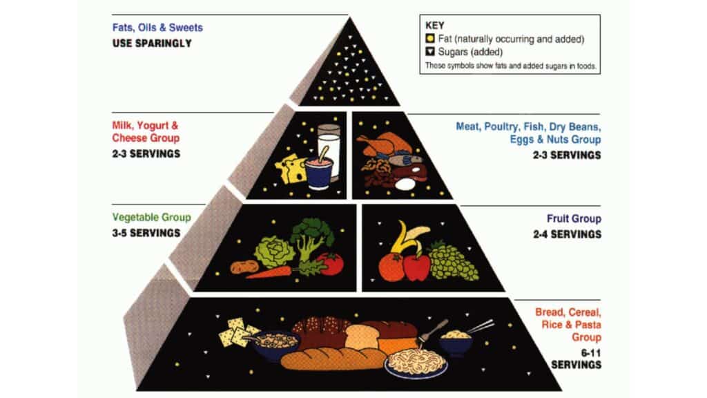 The USDA's original food pyramid 1992 to 2005
